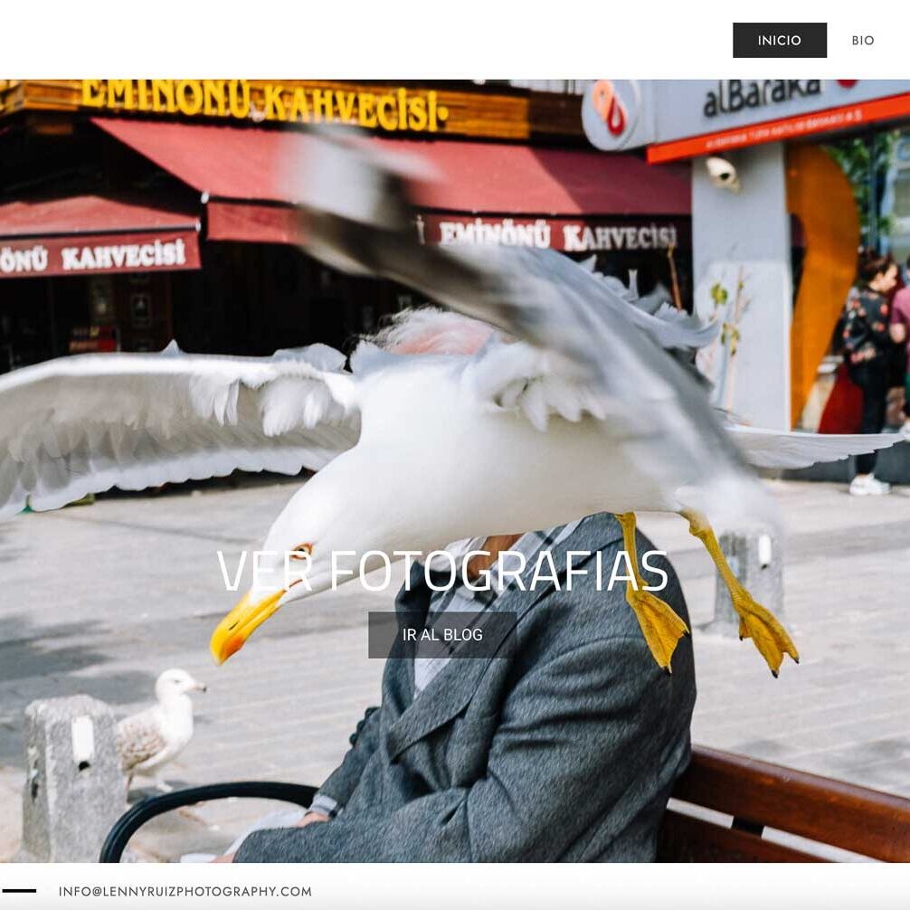 Diseño web WordPress profesional