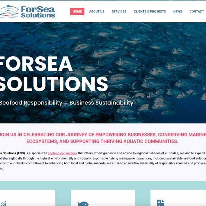 Diseño web WordPress profesional